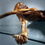 mumia-otzi