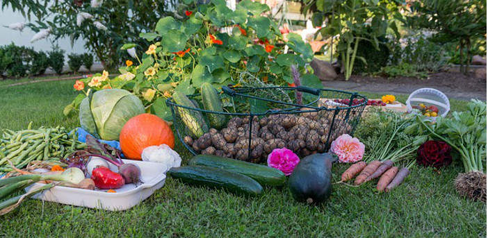 Ce facem in octombrie in gradina