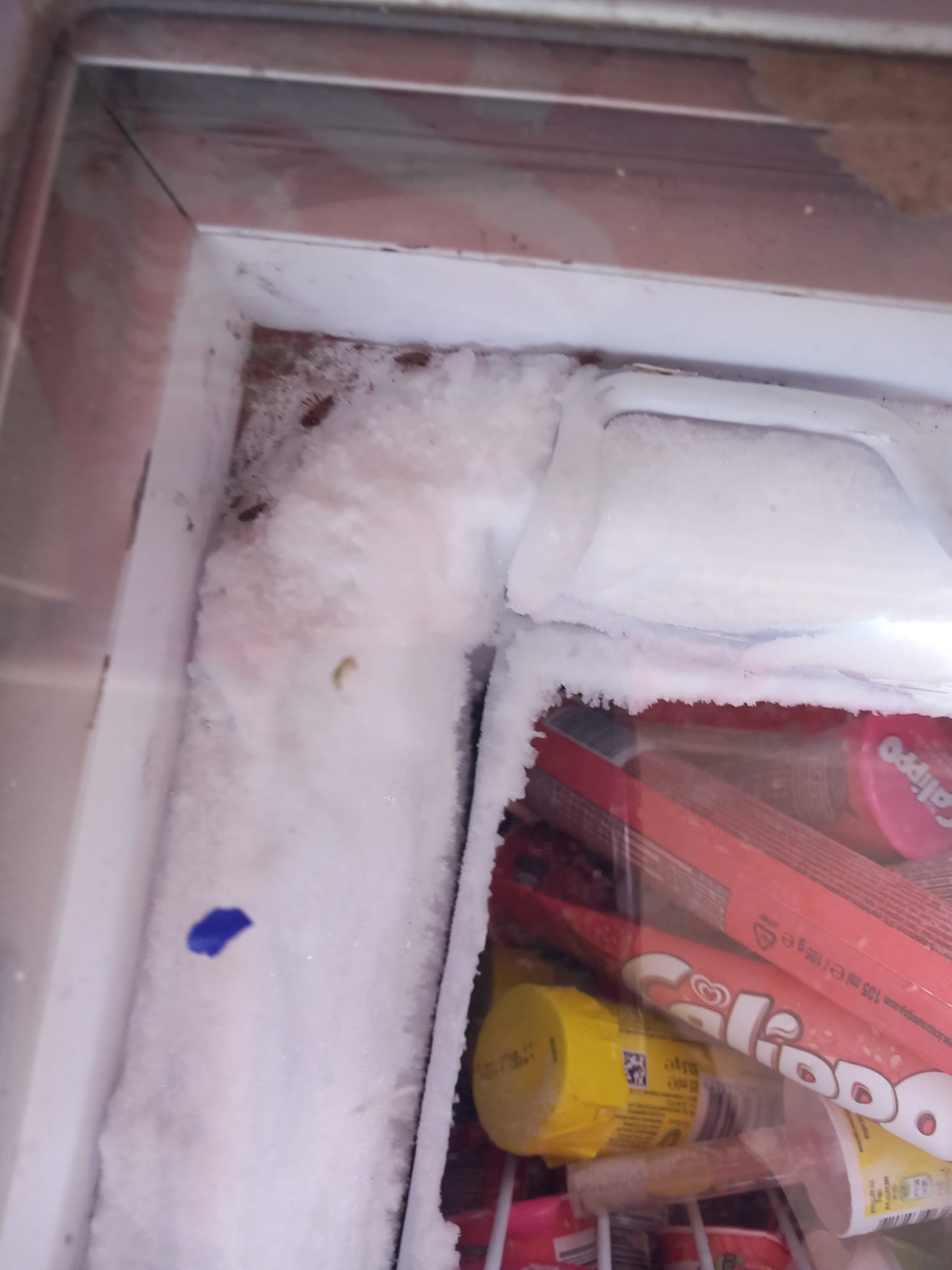 Peste 500 de operatori economici care comercializează produse congelate, inclusiv înghețată, verificați de ANPC, în toată țara