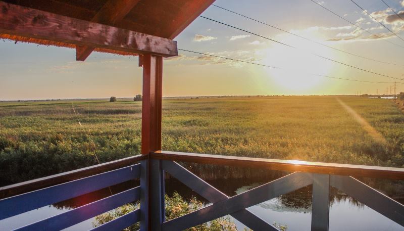 Descoperă Delta Dunării în 2026: tururi captivante, excursii pitorești și aventuri de observare a păsărilor