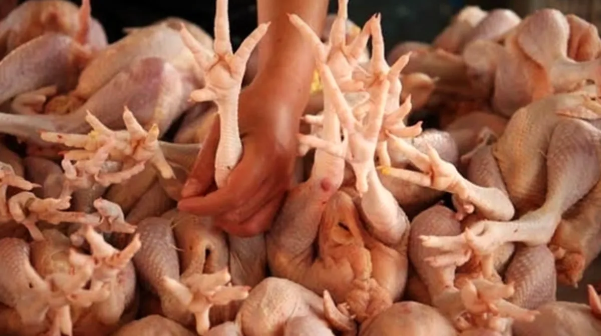 China extinde exportul de carne de pui: producătorii europeni sub presiune