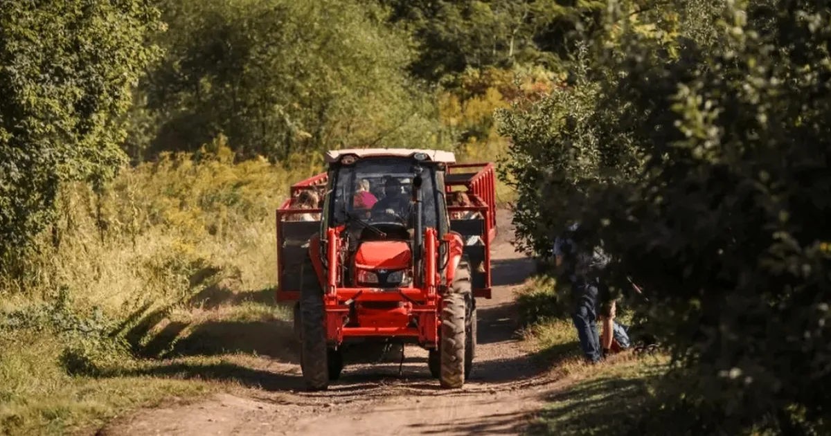 Fermierii din Iași nu primesc toți banii de la APIA pentru motorină: ce se întâmplă cu subvențiile?