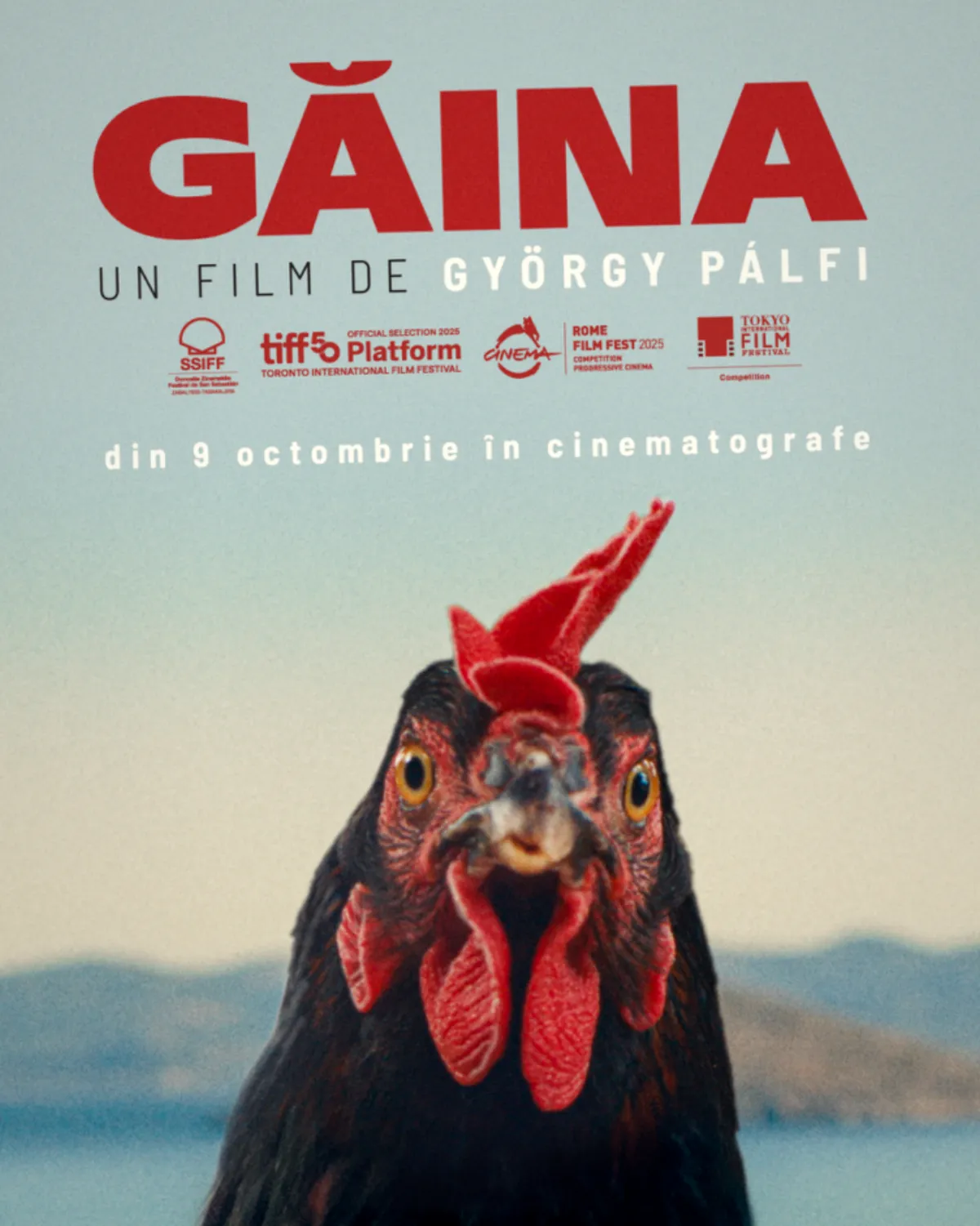 Găina, filmul cu găini antrenate, debutează în România pe 9 octombrie